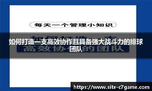 如何打造一支高效协作且具备强大战斗力的排球团队