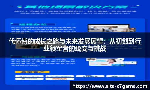 代怀博的成长之路与未来发展展望：从初创到行业领军者的蜕变与挑战